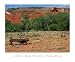 Capitol Reef National Park Farm Landscape Seasons RePoster Print Poster by CJ Villa, 20x16