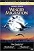 Winged Migration ( Special Edition )