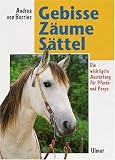 Gebisse, Zaeume, Saettel: Die richtige Ausruestung fuer Pferde und Ponys