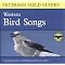 Birding in Arizona