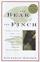 Beak of the Finch