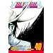Bleach, Vol. 40