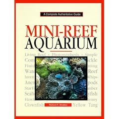 Mini-reef Aquarium