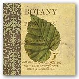 (8x8) Paula Scaletta Botany Principles III Art Print Poster