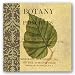 Botany Principles III by Paula Scaletta 8x8 Art Print Poster