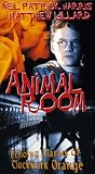 Animal Room