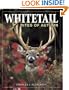 Whitetail Rites of Autumn