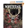 Whitetail Rites of Autumn