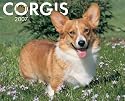 Just Corgis 2007 Calendar