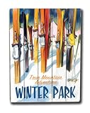 ArteHouse planked wood sign 18 x 24 WinterPark Vintage Ski Wall decor