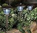 Westinghouse Set of 12 Premium LED Solar Lights w/ 3 Settings, Bronze