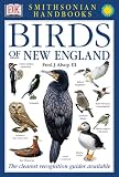 Smithsonian Handbooks: Birds of New England (Smithsonian Handbooks)