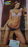 Erica Durance (Smallville) autographed FHM magazine centerfold bikini poster