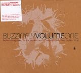 Buzzin Fly Volume 1 - Mixed by Ben Watt