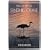 The Cry of the Sandhill Crane (Camp & Cottage Birding Collection, 3)