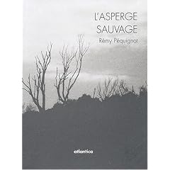 L'asperge sauvage
