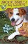The Mugged Pug (Jack Russell: Dog Detective)