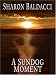 A Sundog Moment (Thorndike Clean Reads)