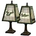 Memory Company South Florida Bulls Art Glass Lamp