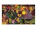 Autumn Leaves , Pink Field Stone. Scenic Photographic Poster Print by Gina Signore, 10x8 Image