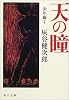 天の瞳 少年編〈1〉 (角川文庫)