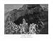 Ansel Adams (Grand Canyon) Art Poster Print - 16 X 20
