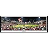 Everlasting Images Philadelphia Phillies 2008 World Series Champions Standard Framed Panoramic - Black