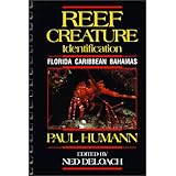 reef creature identification florida caribbean bahamas