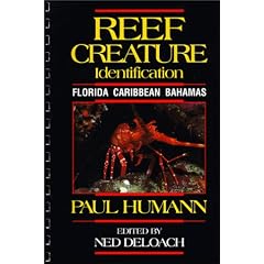 Reef Creature Identification: Florida, Caribbean, Bahamas (Reef Set S)