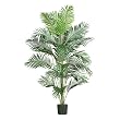 7' Paraidise Palm
