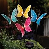 Solar Fiber Optic Butterfly Garden Stake Lights by Collections Etc