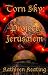 Torn Sky: Project Jerusalem by Kathleen Keating ISBN 0970859805