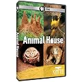 Animal House