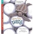 One Tiny Turtle: Read and Wonder