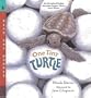 One Tiny Turtle: Read and Wonder