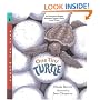 One Tiny Turtle: Read and Wonder