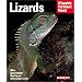 Lizards (Complete Pet Owner's Manual)