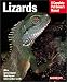 Lizards (Complete Pet Owner's Manual)