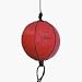 Double End Striking Bag from Everlast