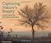 Capturing Nature's Beauty: Three Centuries of French Landscapes