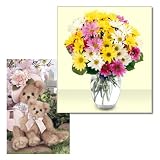 Mother's Day Gift - Rainbow Daisies Fresh Flowers plus Mommy Cares-A-Lot Bear