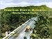 Books : Streetcar Days in Honolulu