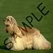 Dogs
