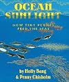 Ocean Sunlight: How Tiny Plants Feed the Seas