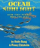 Ocean Sunlight: How Tiny Plants Feed the Seas