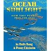 Ocean Sunlight: How Tiny Plants Feed the Seas