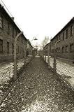 Auscwitz Camp, Poland - 18H x 12W - Peel and Stick Wall Decal by Wallmonkeys