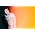 Miniaturansicht von Owl City