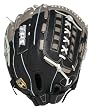 Louisville Slugger TPS Helix Deluxe Ladder Web Ball Glove (14-Inch)
