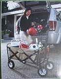 High Quality Folding Wagon Foldable Wagon
